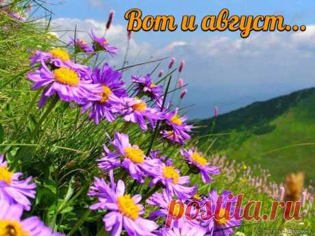 Август — месяц лёгкой печали,
Надо свыкнуться, скоро осень,
Мы о лете всю зиму мечтали
И пока ещё летнее носим —
Легкомысленность кофточек, юбок,
Джинсы рваные, модно-попсовые,
Яркость зонтиков, туфелек, сумок
И мужчины — коленки голые…

Не стремимся мы в август с разбегу,
Нас дождливый июль отрезвил,
Не впрягаем вперёд телегу,
Август пусть наберётся сил
И одарит нас солнечным светом,
Чтобы в осень уйти согретым…