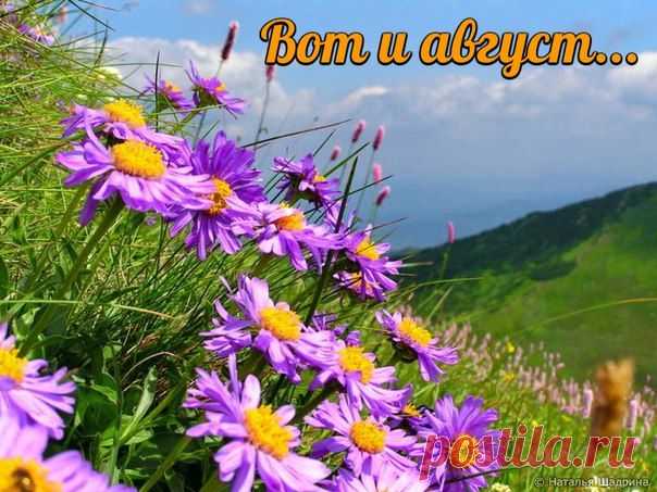 Август — месяц лёгкой печали,
Надо свыкнуться, скоро осень,
Мы о лете всю зиму мечтали
И пока ещё летнее носим —
Легкомысленность кофточек, юбок,
Джинсы рваные, модно-попсовые,
Яркость зонтиков, туфелек, сумок
И мужчины — коленки голые…

Не стремимся мы в август с разбегу,
Нас дождливый июль отрезвил,
Не впрягаем вперёд телегу,
Август пусть наберётся сил
И одарит нас солнечным светом,
Чтобы в осень уйти согретым…