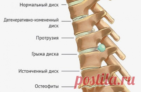 Гимнастика для позвоночника Мирзакарима Норбекова ~ Шкатулка рецептов