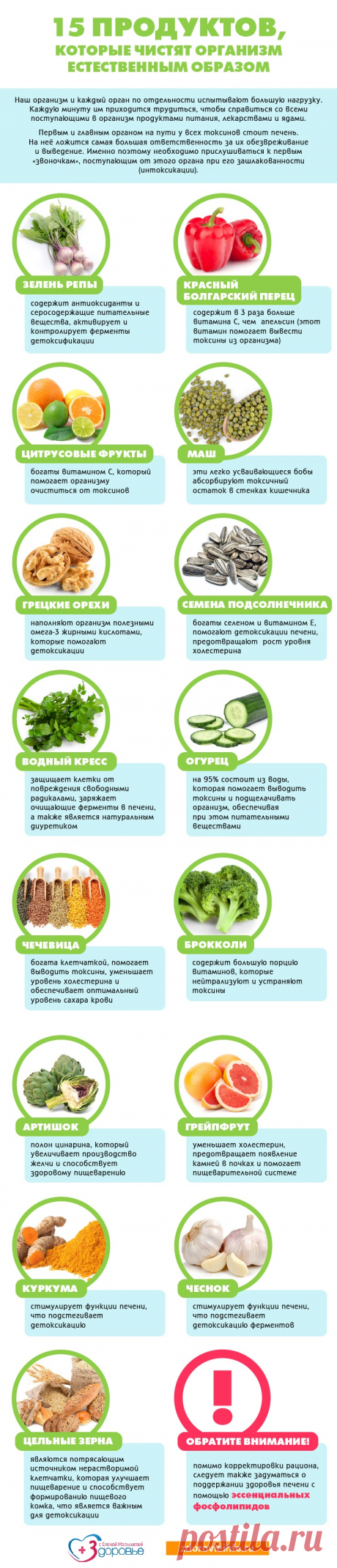15 продуктов которые чистят организм естественным образом