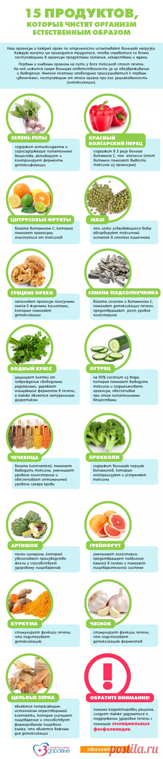 15 продуктов которые чистят организм естественным образом