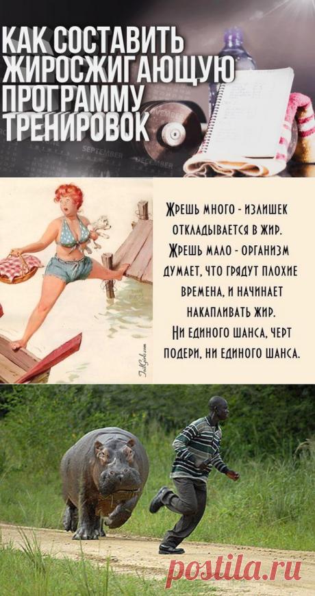 Жиросжигающая тренировка | Блог Ярослава Брина