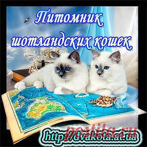 Фейсбилдинг - гимнастика для лица. - 28 Сентября 2011 - Женский интернет журнал Айлаш - Онлайн журнал "Айлаш"