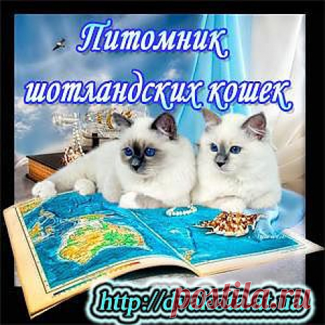 Фейсбилдинг - гимнастика для лица. - 28 Сентября 2011 - Женский интернет журнал Айлаш - Онлайн журнал &quot;Айлаш&quot;