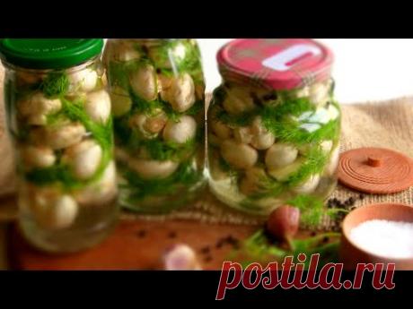 МАЛОСОЛЬНЫЕ ШАМПИНЬОНЫ / Быстрый простой рецепт