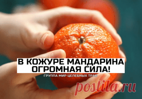 В кожуре мандарина - огромная сила!