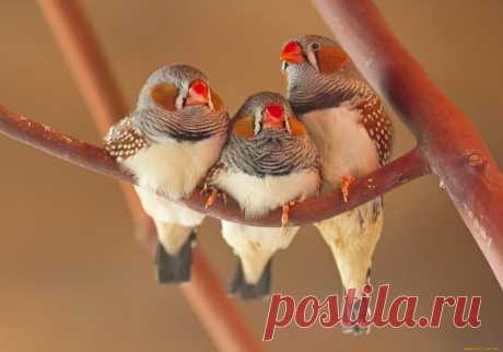 Мой Мир@Mail.Ru