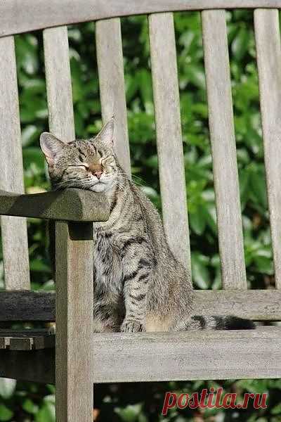 Linprobable coup de Coeur