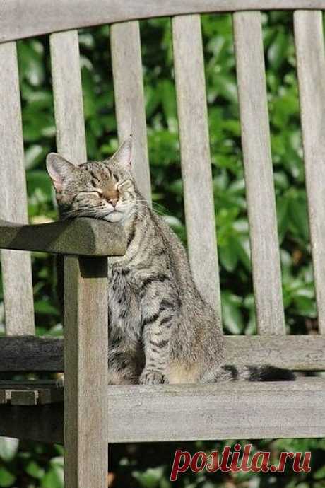 Linprobable coup de Coeur