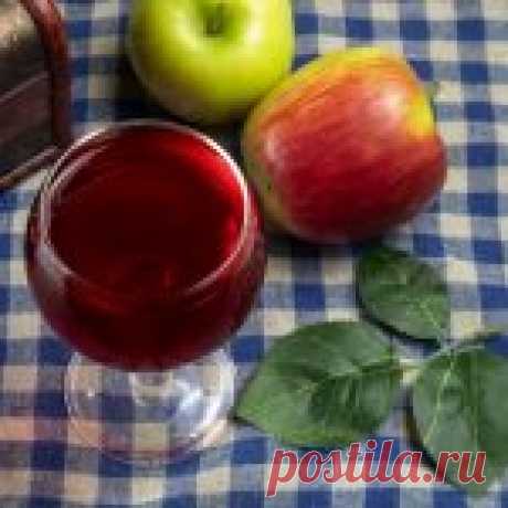 Домашнее вино из яблок и черноплодной рябины (аронии)
