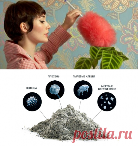 Как бороться с пылью в квартире: полезные советы