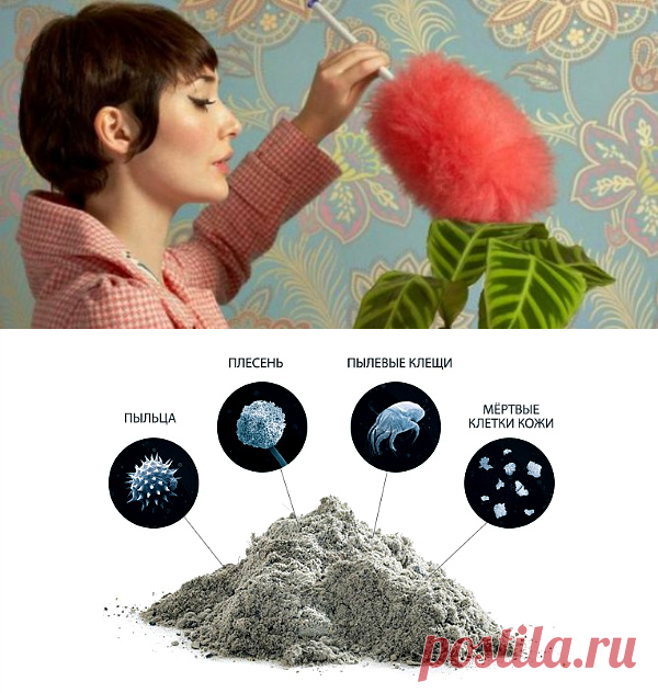 Как бороться с пылью в квартире: полезные советы