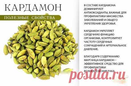 Кардамон - полезные свойства