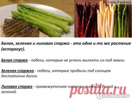 Замороженные овощи Сет-Фуршет Овощи быстро замороженные Спаржа/Green asparagus - «Замороженная спаржа из Ашана всего за 123 рубля! Что такое СПАРЖА, как ее приготовить? Простые, быстрые и вкусные РЕЦЕПТЫ. Чем отличаются зеленая, белая, лиловая спаржа, спаржевая фасоль и корейская соевая спаржа? Витамины в замороженной спарже.» | Отзывы покупателей