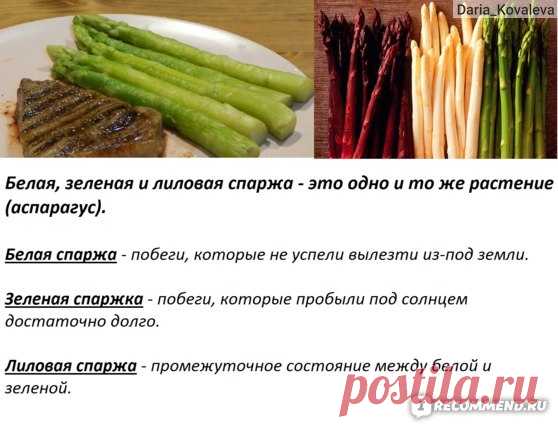 Замороженные овощи Сет-Фуршет Овощи быстро замороженные Спаржа/Green asparagus - «Замороженная спаржа из Ашана всего за 123 рубля! Что такое СПАРЖА, как ее приготовить? Простые, быстрые и вкусные РЕЦЕПТЫ. Чем отличаются зеленая, белая, лиловая спаржа, спаржевая фасоль и корейская соевая спаржа? Витамины в замороженной спарже.» | Отзывы покупателей