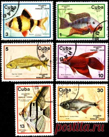 cuba