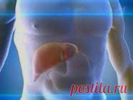 Негативные эмоции прячутся в печени / Домоседы