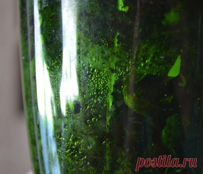 Орхидея фаленопсис | Какой грунт нужен для орхидеи при пересадке