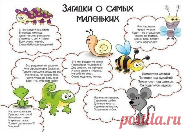 Загадки о насекомых