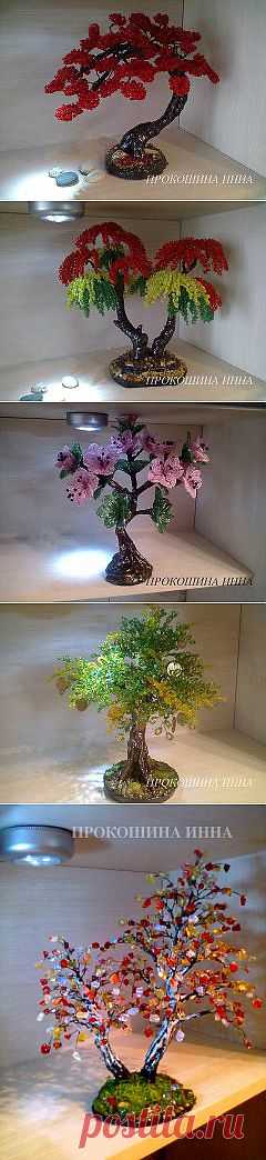 Одноклассники