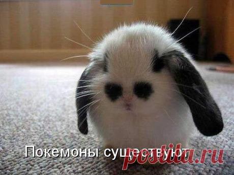 Интересные новости