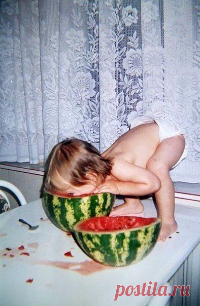 Как происходит хранение арбузов к Новому году | Flohouse