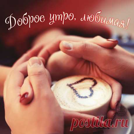 Картинки «С добрым утром, любимая!» (33 фото) ⭐ Забавник