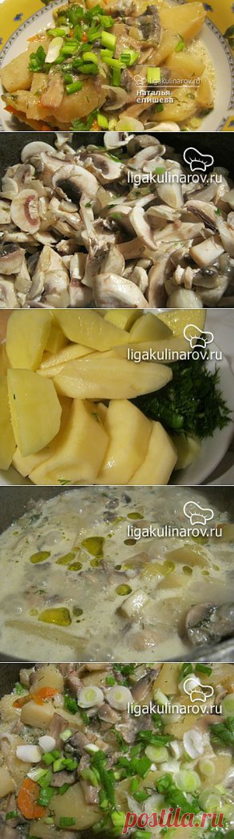 Картофель тушеный с грибами в сметане – рецепт с фото от Лиги Кулинаров, пошаговый рецепт