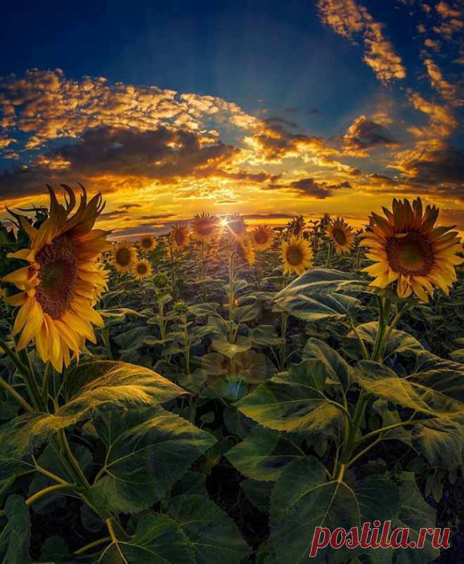 Nice picture #Oregon