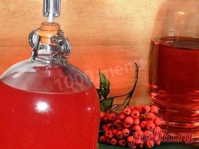 Домашнее вино из красной рябины рецепт с фото - 1000.menu