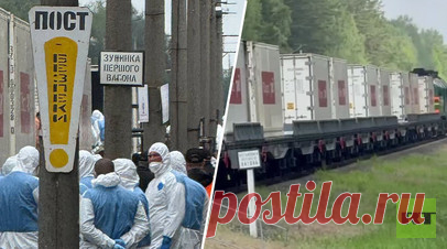 «Мы отдали ещё 1200»: Россия продолжила передачу тел военнослужащих ВСУ Украине. Российская сторона передала Украине ещё 1200 тел погибших военнослужащих ВСУ, сообщил корреспондент RT Костя Придыбайло. По его словам, украинская сторона приняла тела, но в обмен не передала ничего. Об официальном начале процесса обмена телами военнослужащих стало известно 11 июня. Читать далее