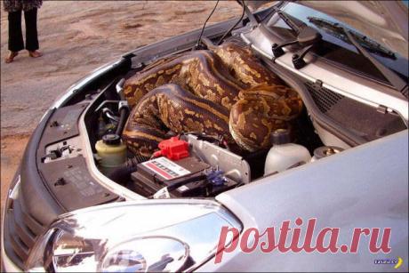 Дерьмо случается