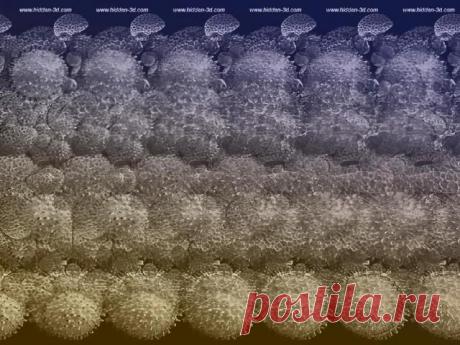 Стереокартинки. (Продлжение) / Фотошоп и я.