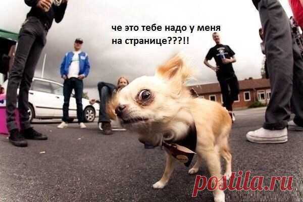 Google+