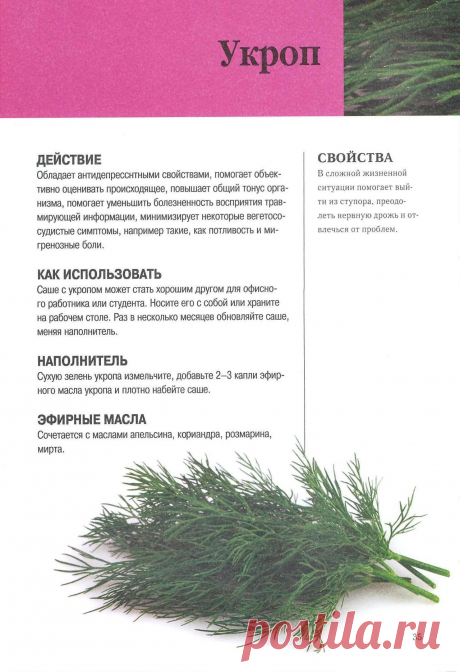 Укроп