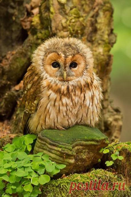 Найдено на сайте 500px.com.