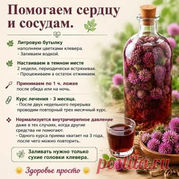 Помогаем сердцу и сосудам