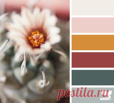 Design Seeds® | for all who ❤ color