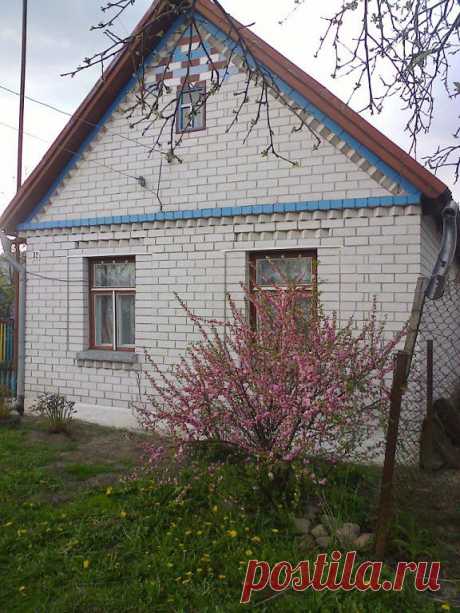 Одноклассники