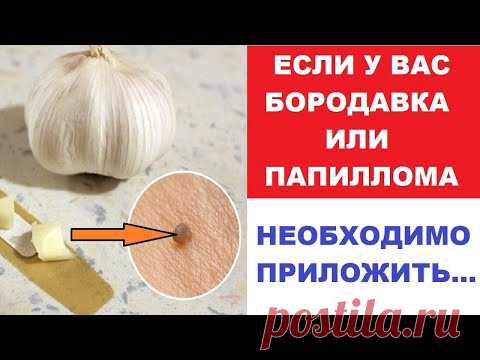 КАК ЧЕСНОК СПАСАЕТ ОТ НОВООБРАЗОВАНИЙ НА КОЖЕ?