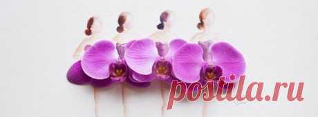 Рисунки из акварели и цветов