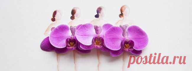 Рисунки из акварели и цветов