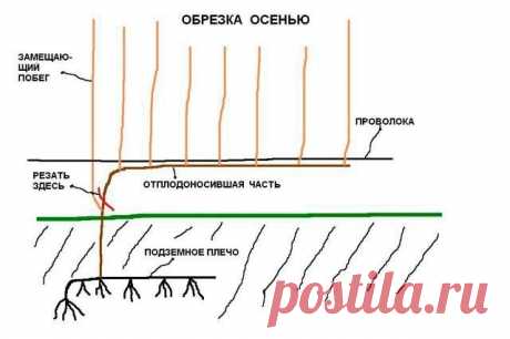 САДОВАЯ ФЕЯ - Дача. Сад и Огород
