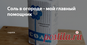 Соль в огороде - мой главный помощник Копеечный, но такой полезный для огорода продукт