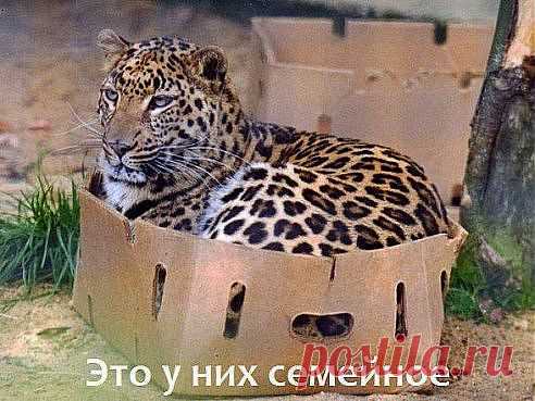 (34) Одноклассники