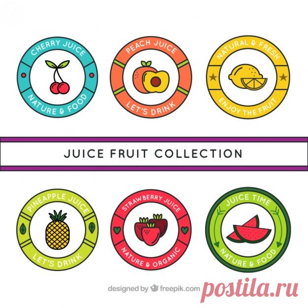 Ручной обращается сок этикетки круговой фрукты Более миллиона свободных векторов, PSD, фотографии и бесплатные иконки. Эксклюзивные халявы и все графические ресурсы, которые необходимые для ваших проектов