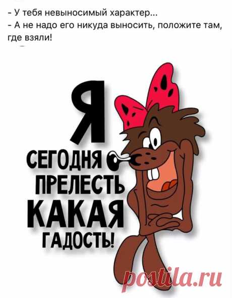 Изображение пина-истории