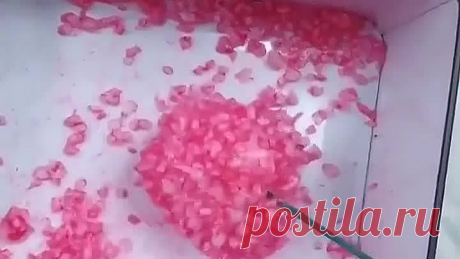 Идеи поделки цветы