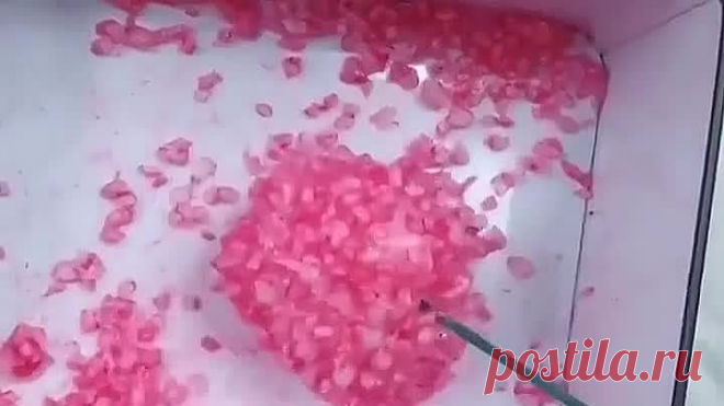 Идеи поделки цветы