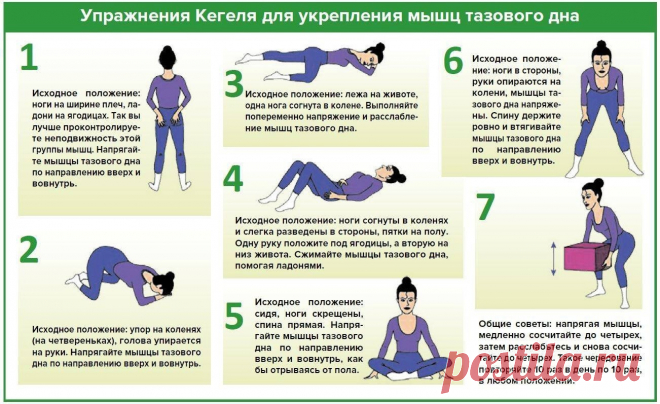 Упражнения Кегеля для укрепления мышц тазового дна